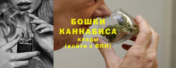 шишки Сясьстрой