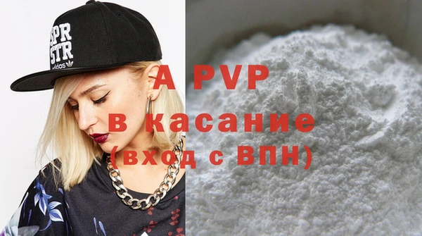 прущие грибы Дмитровск