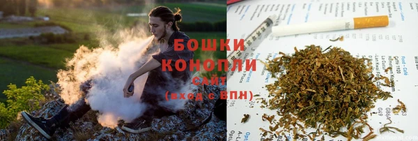 индика Ветлуга