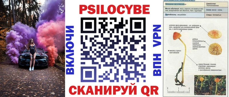 Галлюциногенные грибы Psilocybe  Давлеканово 