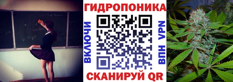 Каннабис индика  Давлеканово 